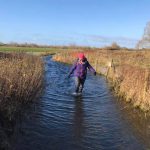 Water Hay