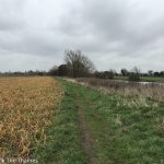 Culham to Clifton Hampden