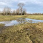 Cricklade to Castle Eaton