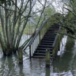 Shifford Lock